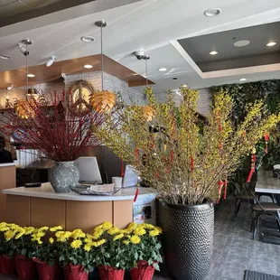 More beautiful flowers at the cashier station