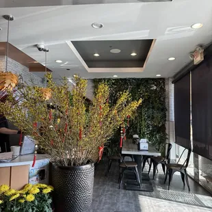 Beautiful flowers and lots of seating