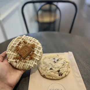 a hand holding a chocolate chip cookie