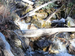 Carson National Forest