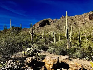 Finger Rock Trail
