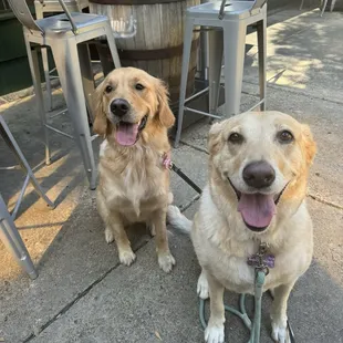 Our pups love Ghost River!