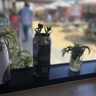 three cans of ghost town brewing and a plant in a glass vase