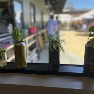 a row of planters on a window sill