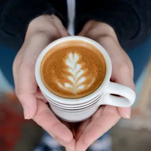 a person holding a cup of coffee
