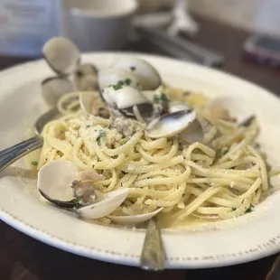 Pasta with clam sauce