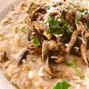 Mushroom Risotto