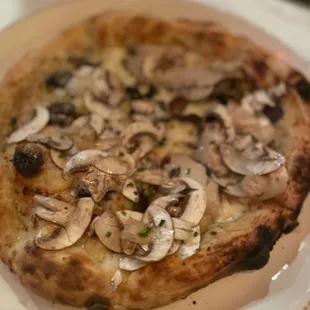 Mushroom pizza