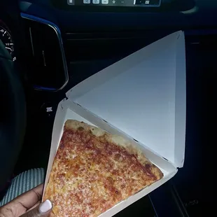Cheese Cheese Pizza Slice