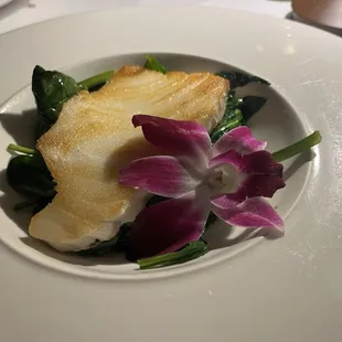 Chilean Sea Bass