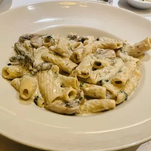 Rigatoni with alfredo sauce