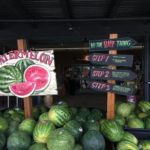 I&apos;m not a fan of watermelons but this display certainly made me happy