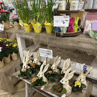 Always have cute seasonal items in the floral department