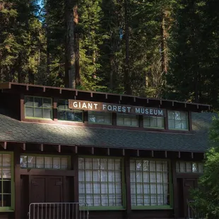 Giant Forest Museum