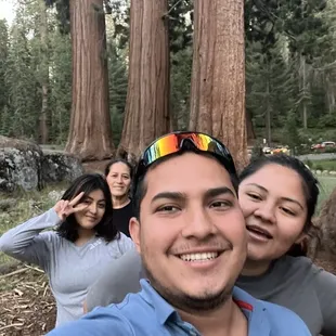 Recorrido en los árboles más grandes del mundo