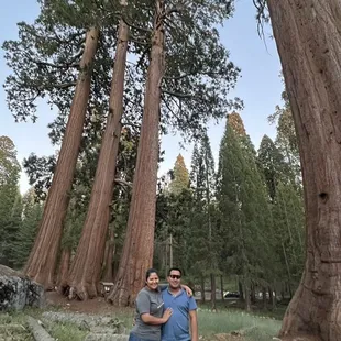 Arboles