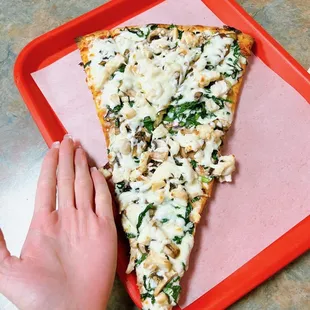 Chicken Alfredo slice.