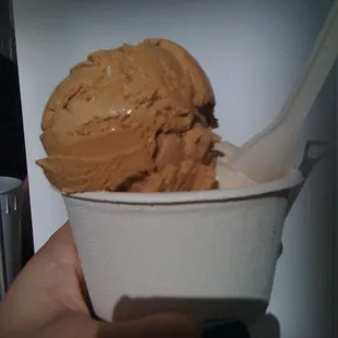 a hand holding a cup of ice cream