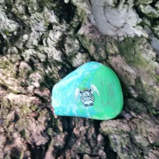 Spreading LQT awareness  #rocksforryan