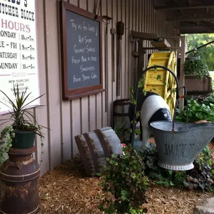 a bucket and a bucket of plants