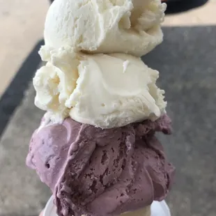 Medium vanilla bean and black raspberry