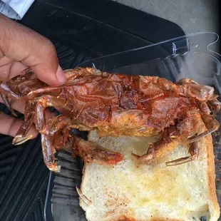 Soft shell crab sandwich