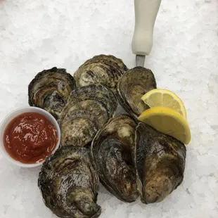 food, oysters and mussels, mussels, shellfish, oysters