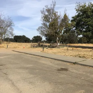 World's saddest goat pen. At least they had shade.
