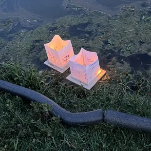 Lanterns my daughter and I made.