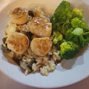 Sea scallops with a portobello risotto. This dish was to die for and the reason I'll be coming back.