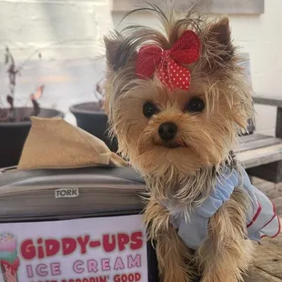 Gracie says YUM!!!
