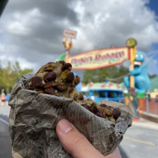 Pistachio Toffee Cookie at Dinoland!