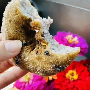 Blueberry donut