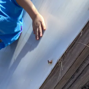 Nail Coming out of slide, dangerous !