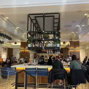 people sitting at the bar