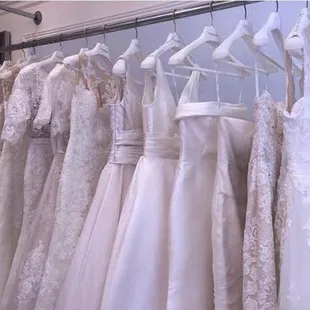 Pronovias trunk show!