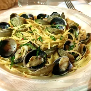 food, pasta dish, pasta