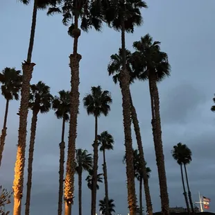 Evening views