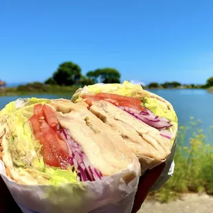 Chicken Teriyaki Sandwich