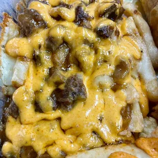Brisket Fries