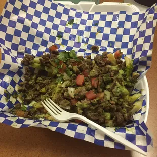 The Carne Asada Fries! Already half eaten, and tons still left!