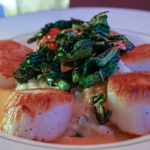 Scallops