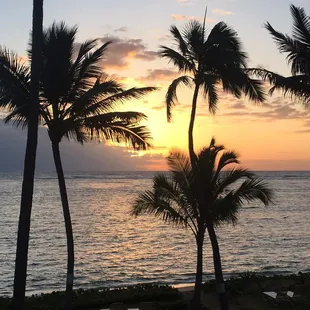 Slowly creeping up behind the horizon