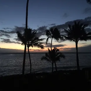 She is starting to rise ;)