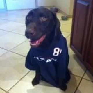 Eska Moses Malone V.