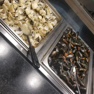 interior, oysters and mussels