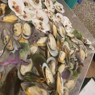 mussels, oysters, food, oysters and mussels, shellfish