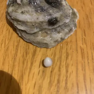 Found a pearl in a fresh oyster