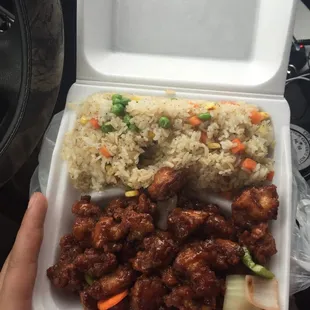 Orang chicken and fried rice