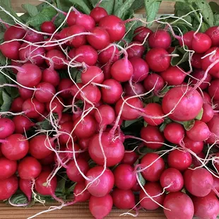 Radishes from Agritopia Oct 2023